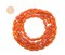 The Bead Chest River Amber Natural Seed Beads from Kenya Oval 5mm African Orange Wood 35-40 Inch Strand Handmade